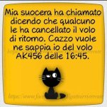 FB_IMG_1656421776726.jpg