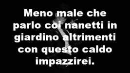 FB_IMG_1656395707992.jpg