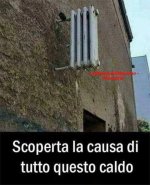 FB_IMG_1656865260367.jpg