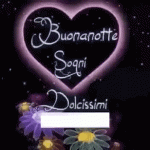 notte-buonanotte.gif