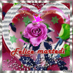 4565740_e9917.gif