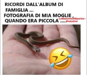 FB_IMG_1657096542541.jpg