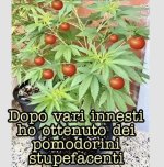 FB_IMG_1657039989731.jpg