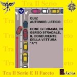FB_IMG_1657026568804.jpg