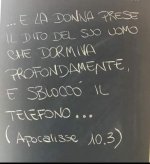 FB_IMG_1657026559286.jpg