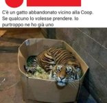 FB_IMG_1656839321838.jpg