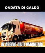 FB_IMG_1657186360211.jpg