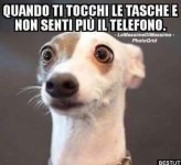 FB_IMG_1657015817594.jpg