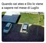 FB_IMG_1657296588733.jpg