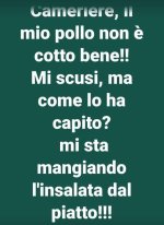 FB_IMG_1657272947365.jpg