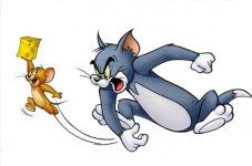 Tom-Jerry-1-764x505.jpg