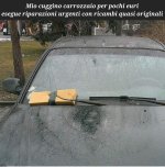 FB_IMG_1657386696043.jpg
