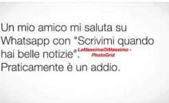 FB_IMG_1657347131197.jpg