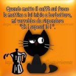 FB_IMG_1657467768754.jpg