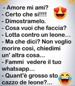 FB_IMG_1657465509495.jpg