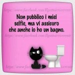 FB_IMG_1657461160565.jpg