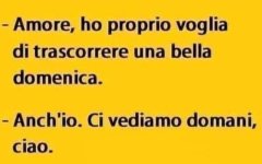 FB_IMG_1657445494849.jpg