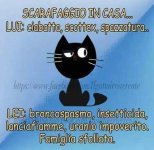 FB_IMG_1657535071789.jpg