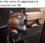 FB_IMG_1657519206611.jpg