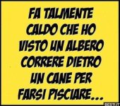 FB_IMG_1657639517278.jpg