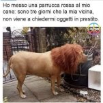 FB_IMG_1657605426610.jpg