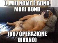 FB_IMG_1657709195170.jpg