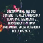 FB_IMG_1657709227451.jpg