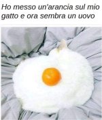 FB_IMG_1657817721302.jpg