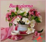 Immagini-Fotos-Buongiorno-Belle-494.jpg