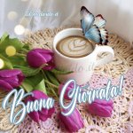 immagine_05-17-02.58.27.jpg