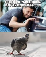FB_IMG_1657989115148.jpg
