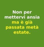 FB_IMG_1658071677121.jpg