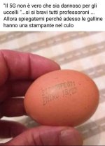 FB_IMG_1658049711413.jpg