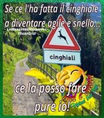FB_IMG_1658143744090.jpg