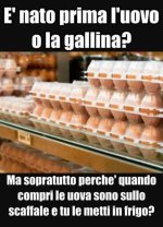 FB_IMG_1658244340076.jpg