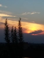 IMG-20220719-WA0009.jpg