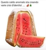 FB_IMG_1658317290845.jpg
