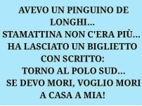 FB_IMG_1658397509470.jpg