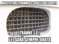 FB_IMG_1658576172481.jpg