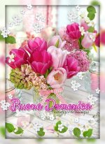 FB_IMG_1658636093565.jpg