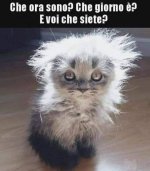 FB_IMG_1651557452803.jpg