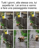 1658928432239.png