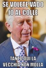 FB_IMG_1658928800985.jpg