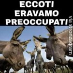 FB_IMG_1658403642773.jpg