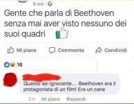 FB_IMG_1659015896815.jpg
