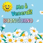FB_IMG_1659079239963.jpg