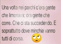 FB_IMG_1659085298970.jpg