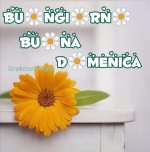 IMG-20220710-WA0000.jpg