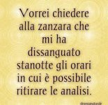 FB_IMG_1659288716465.jpg