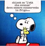 FB_IMG_1659286528841.jpg